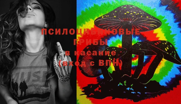 spice Аркадак