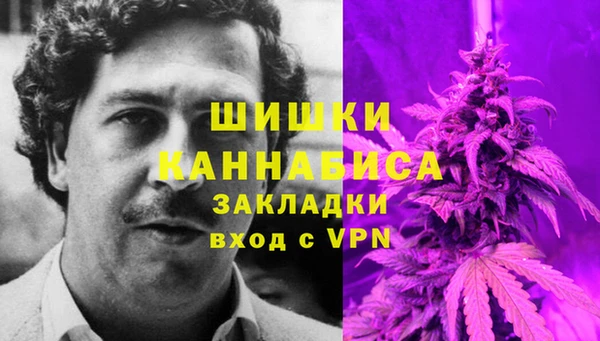 spice Аркадак