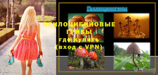 MDMA Premium VHQ Нея
